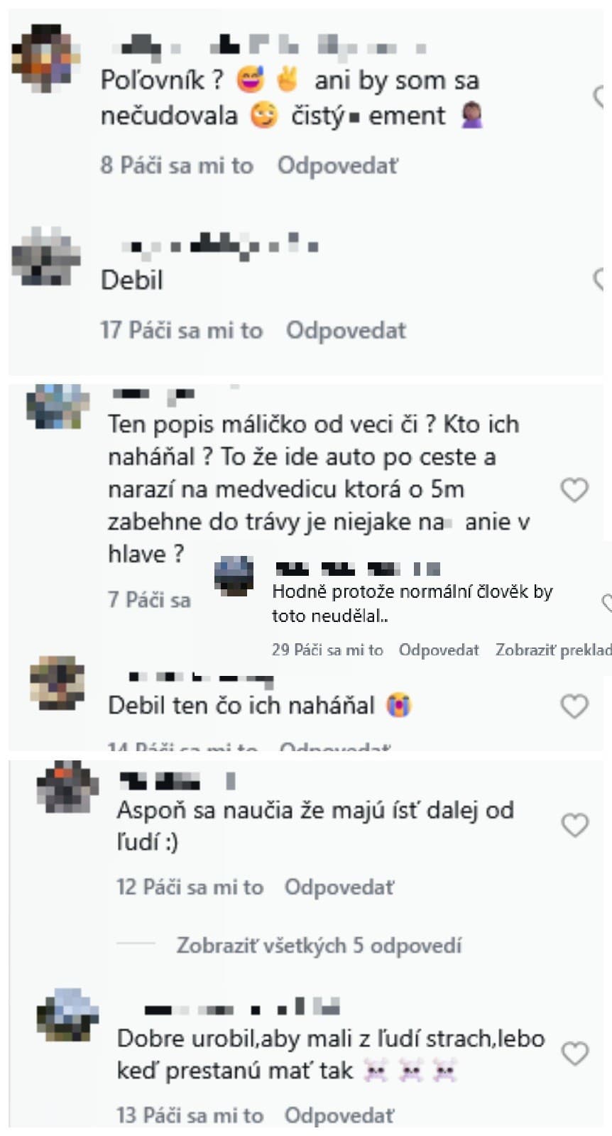 Naozaj naháňate autom medvedicu?!