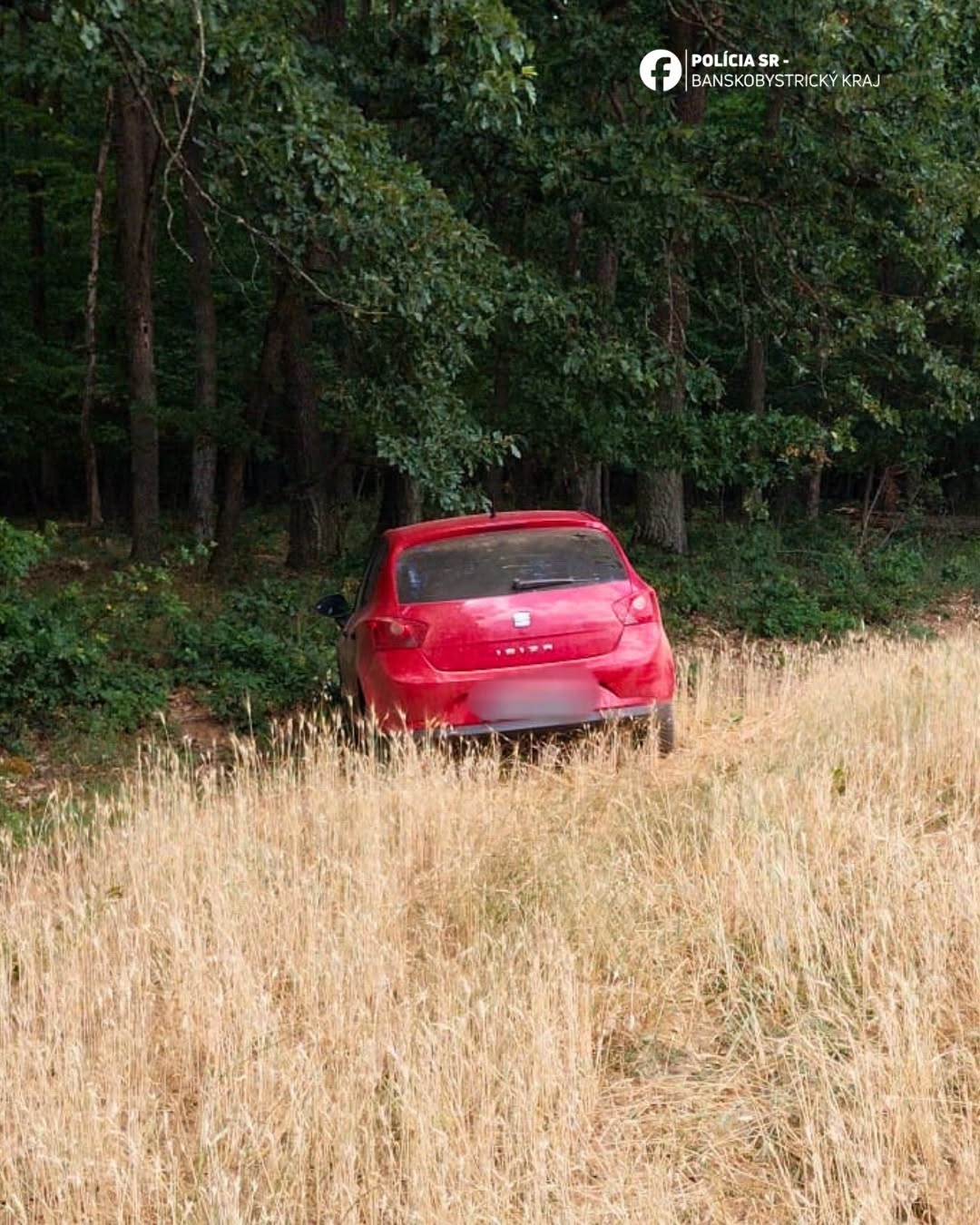 Divoká naháňačka pri Lučenci: