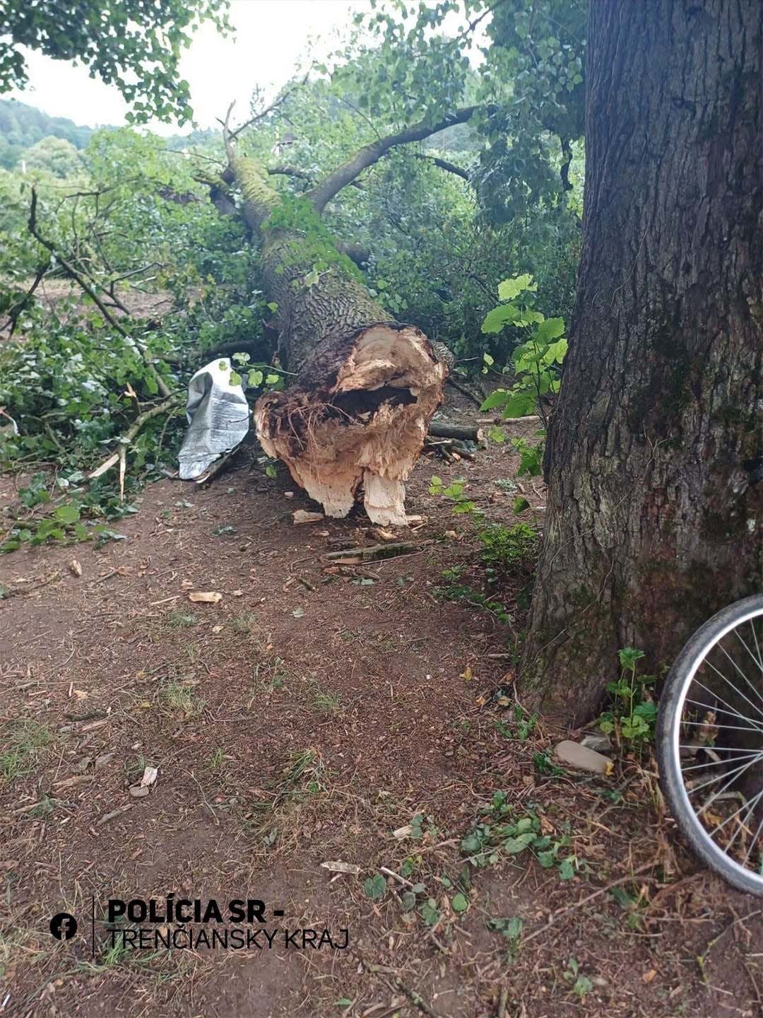 MIMORIADNE Tragédia pri Púchove