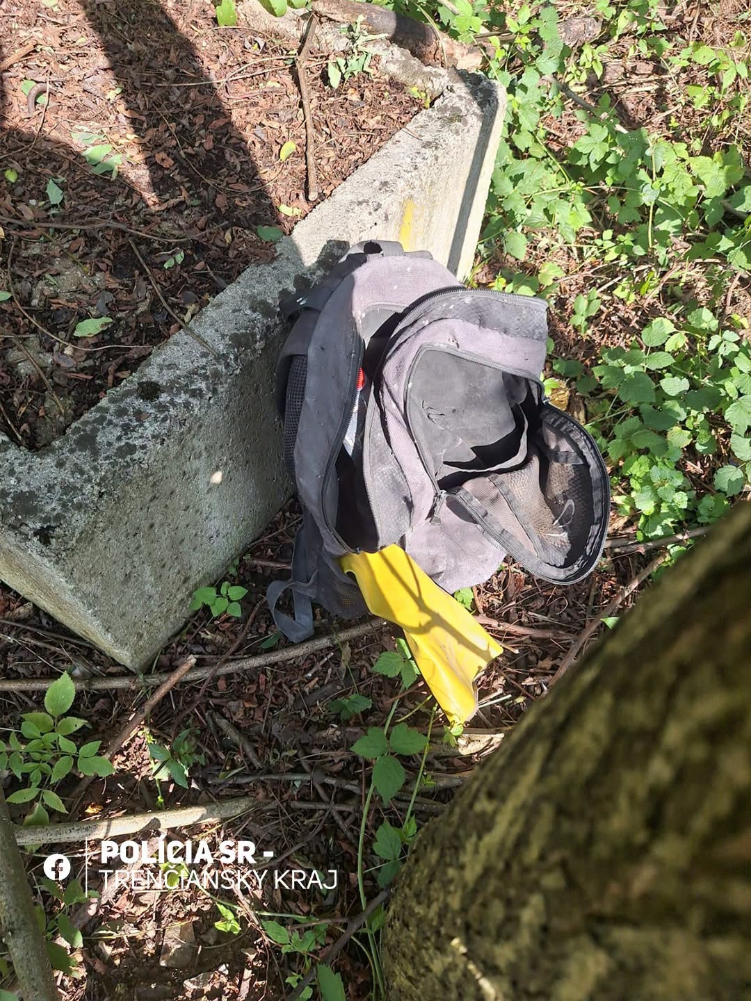 Krádež v elektrárni prekazil