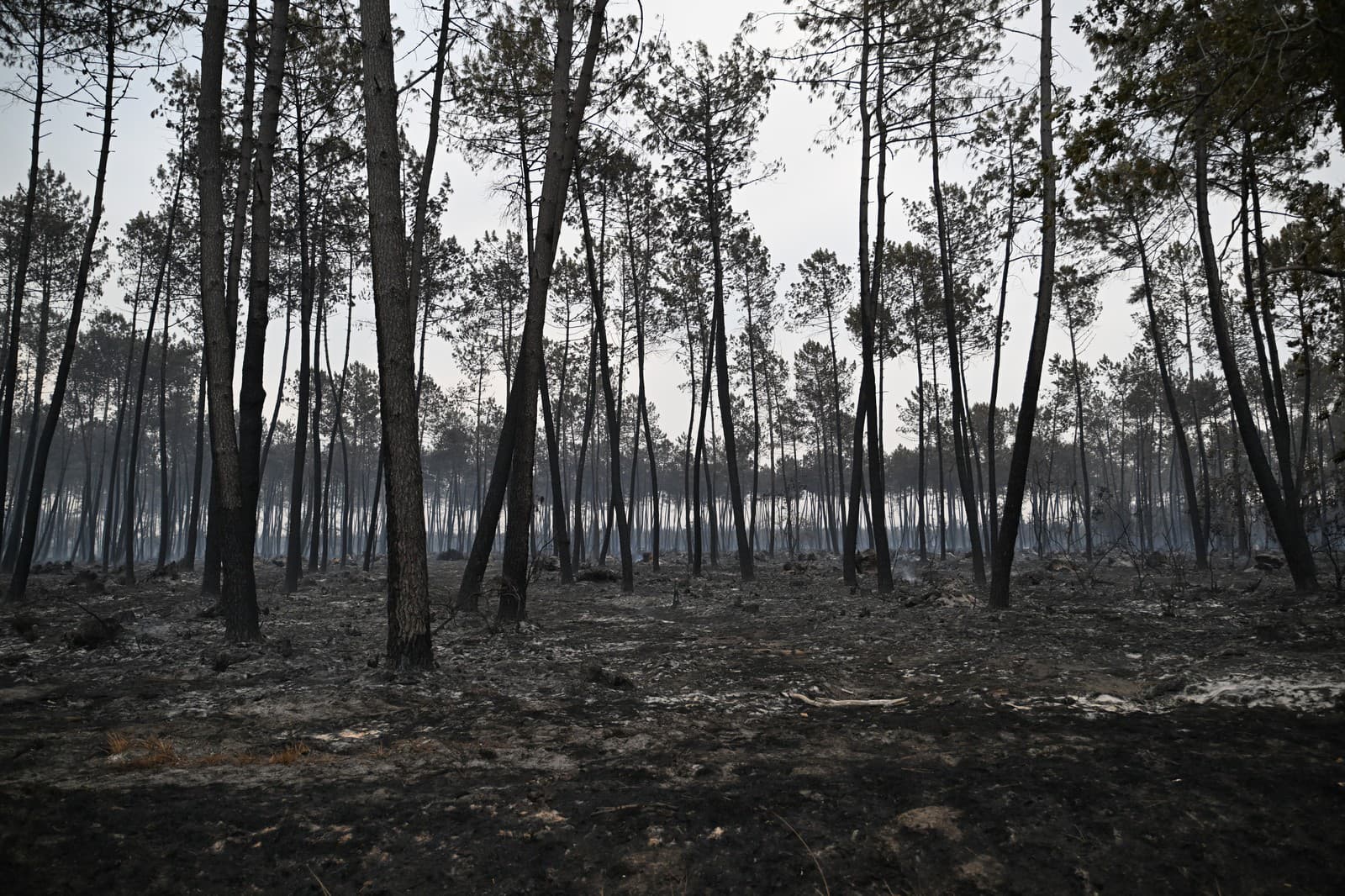 Obrovské plamene ničia Francúzsko