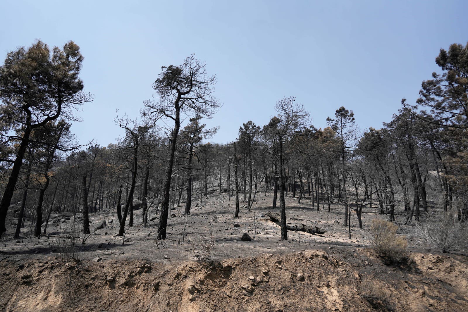 Požiarom spálená krajina neďaleko Calas del Burguillo v provincii Ávila v Španielsku