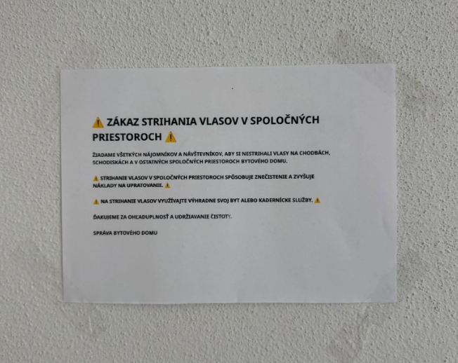 Internet sa baví kurióznym