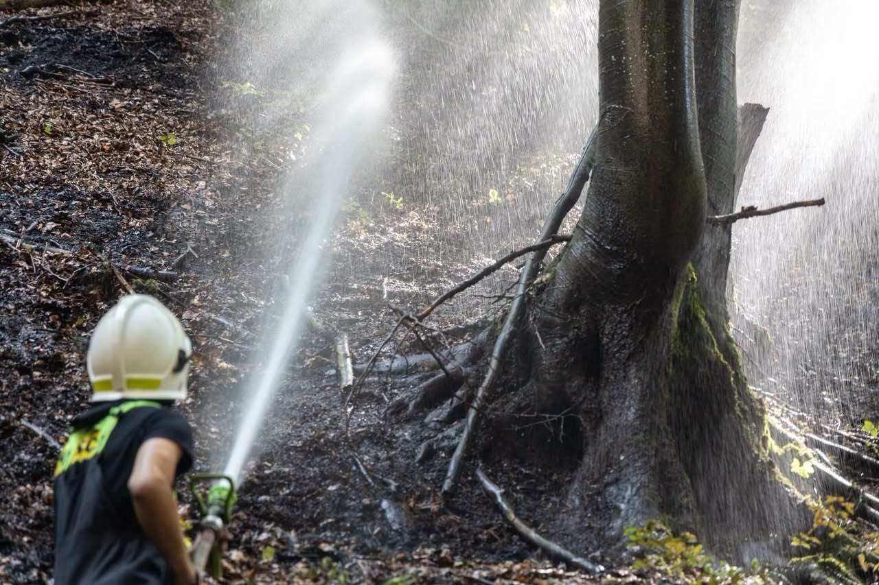 Dobrá správa zo Súľovských