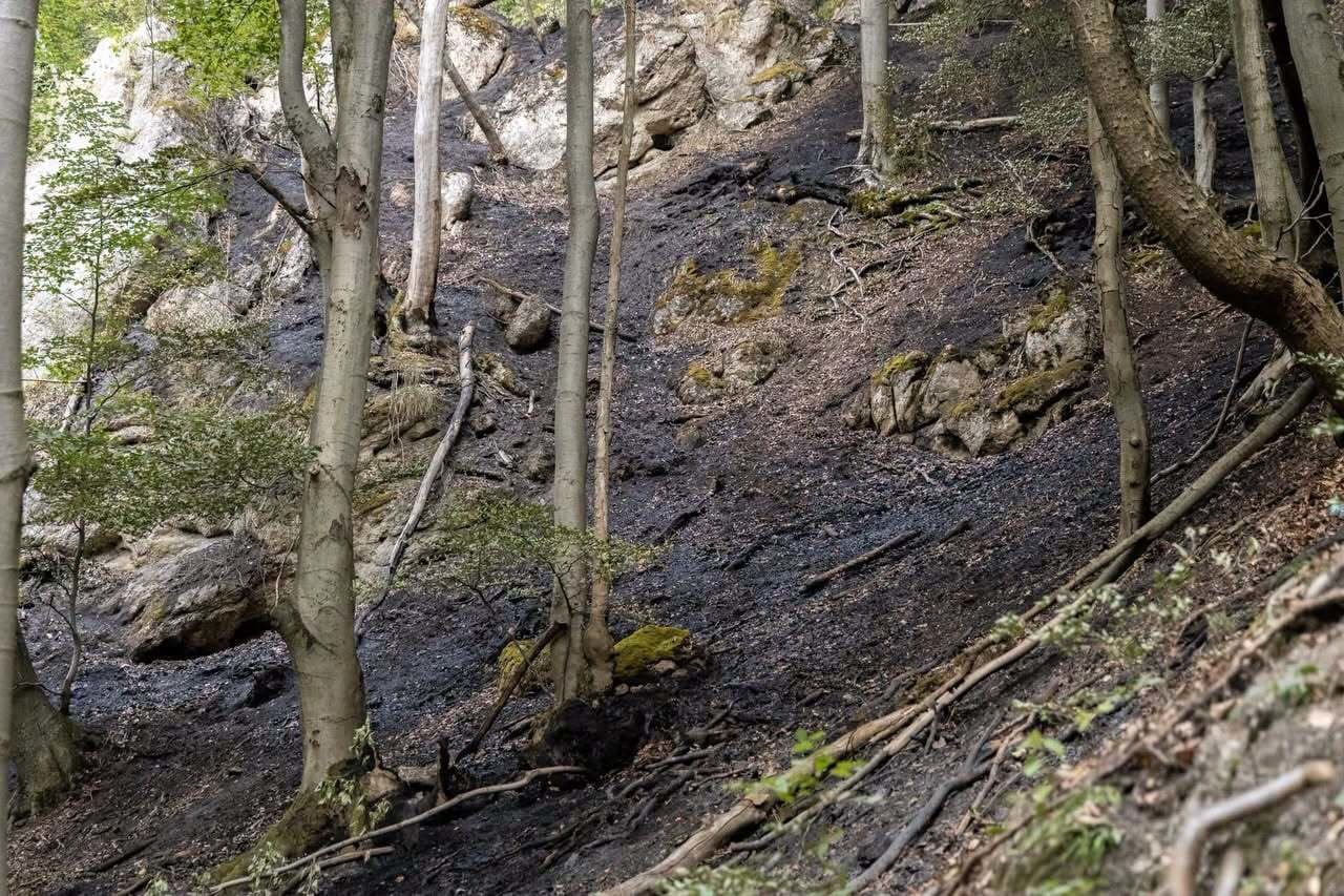 Dobrá správa zo Súľovských