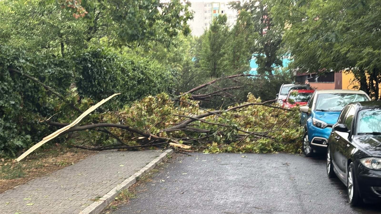 Petržalka po búrke. 