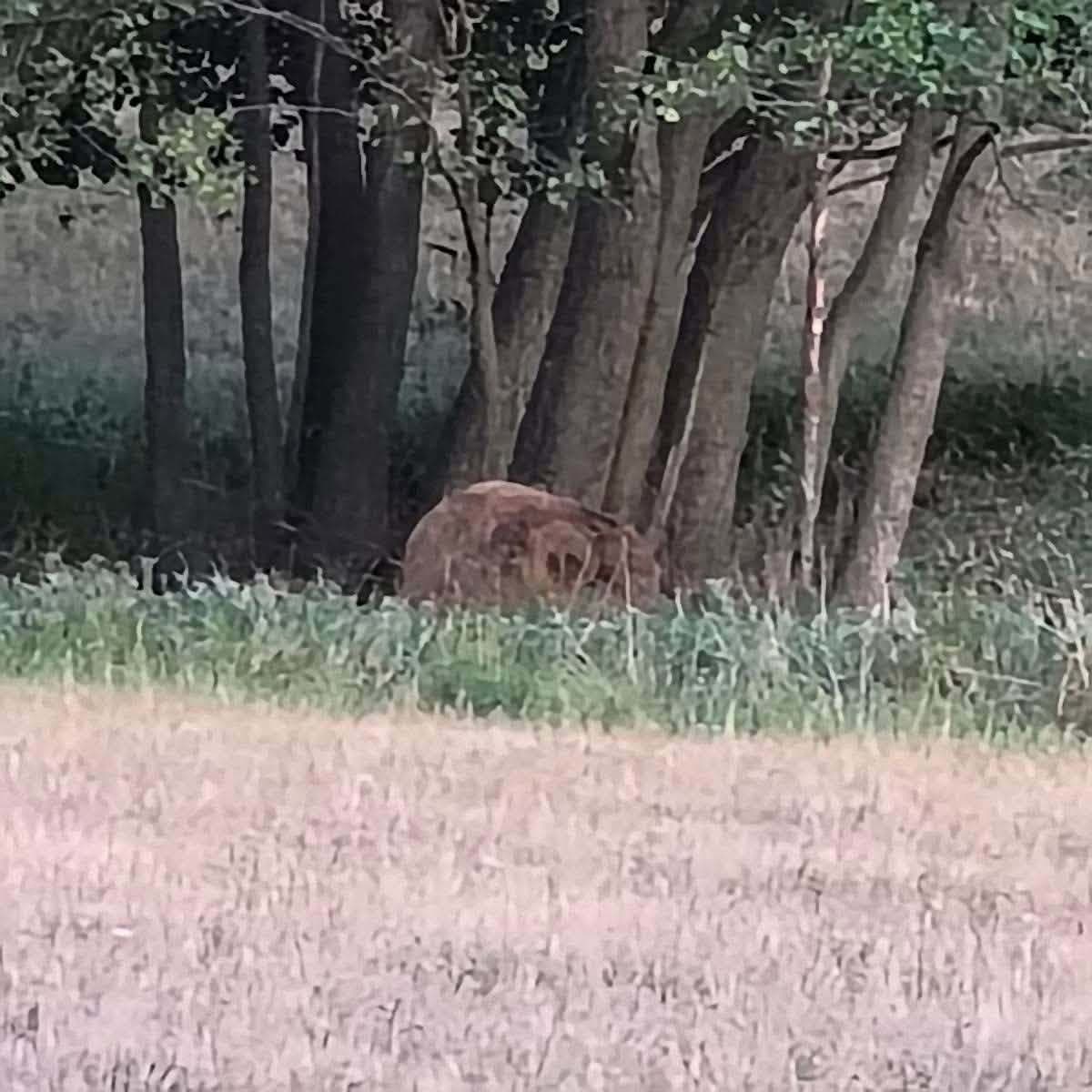 Obec VAROVALA obyvateľov pred