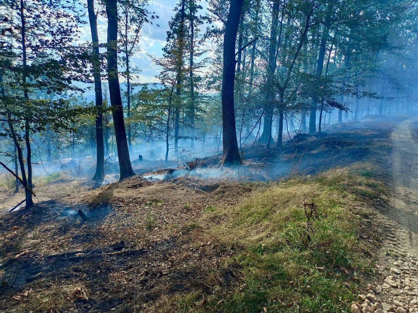 Na východe Slovenska bojujú