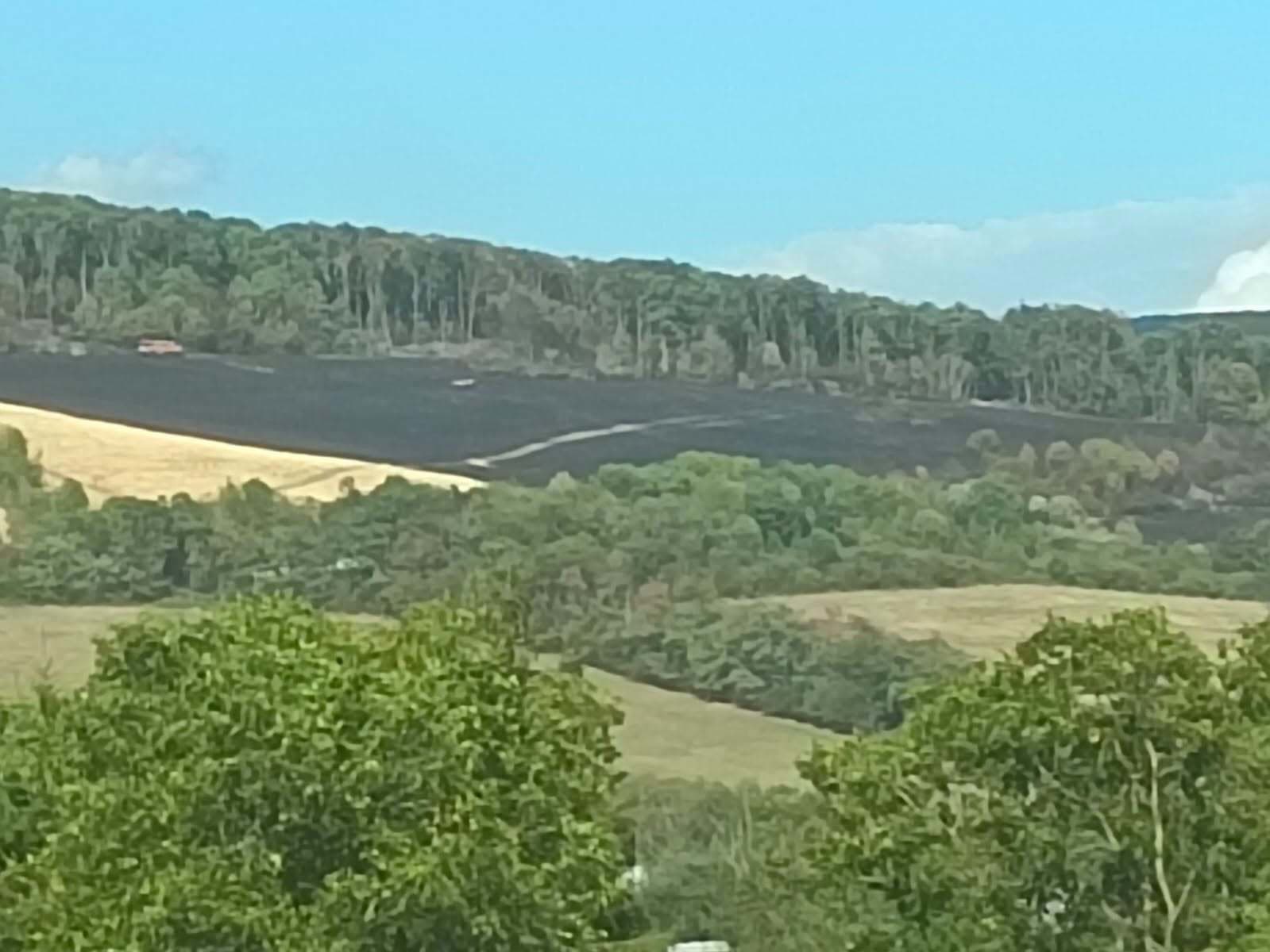 AKTUÁLNE Boj s obrovským