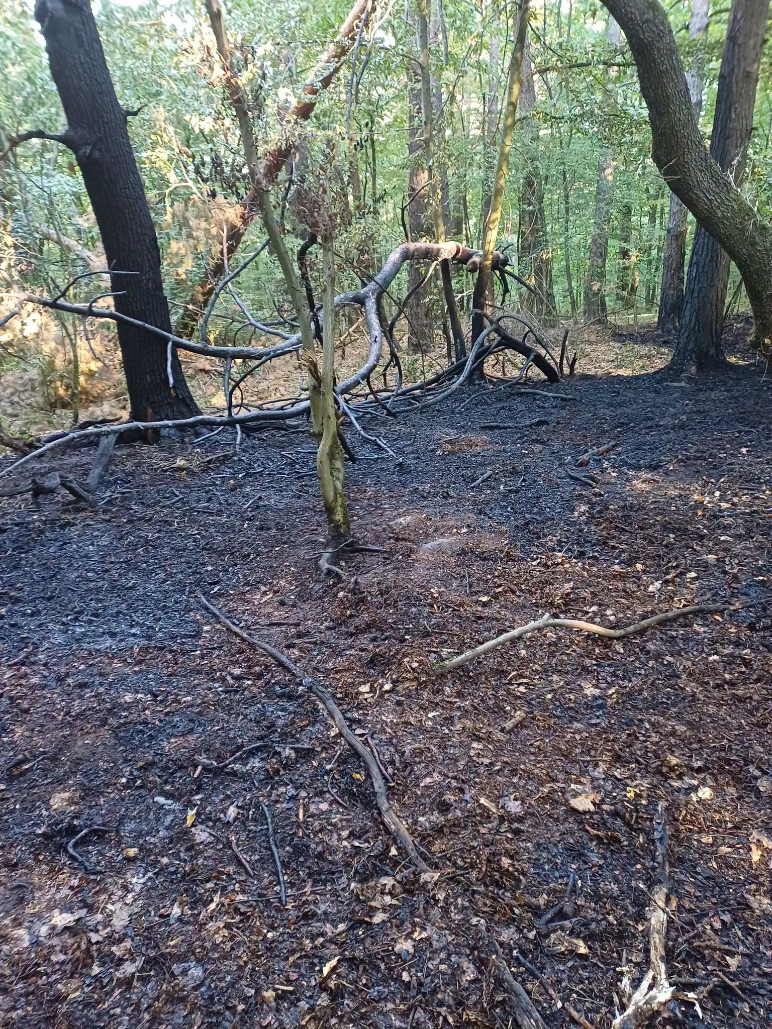Plamene v tesnej blízkosti