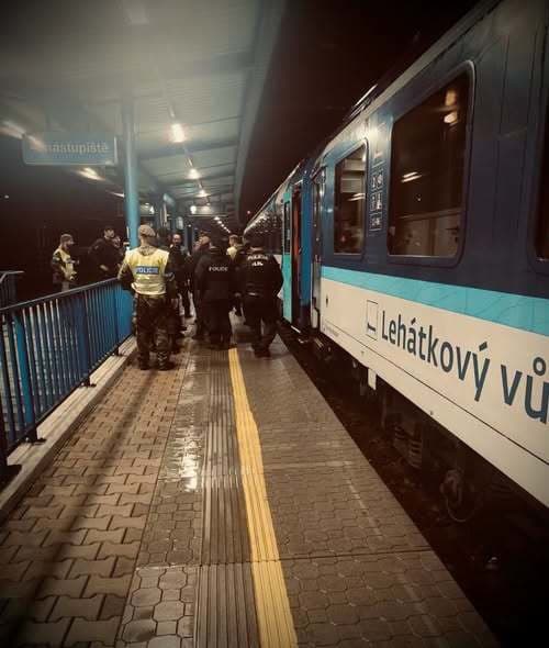 Slovenskí a českí policajti počas kontroly nelegálnej migrácie pod taktovkou akcie Podzim. 