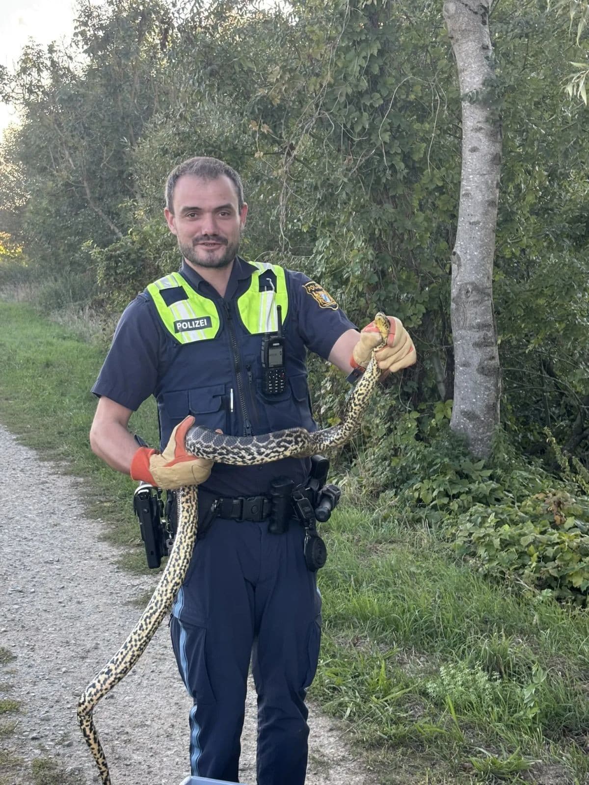 Hasiči anakondu odchytili.