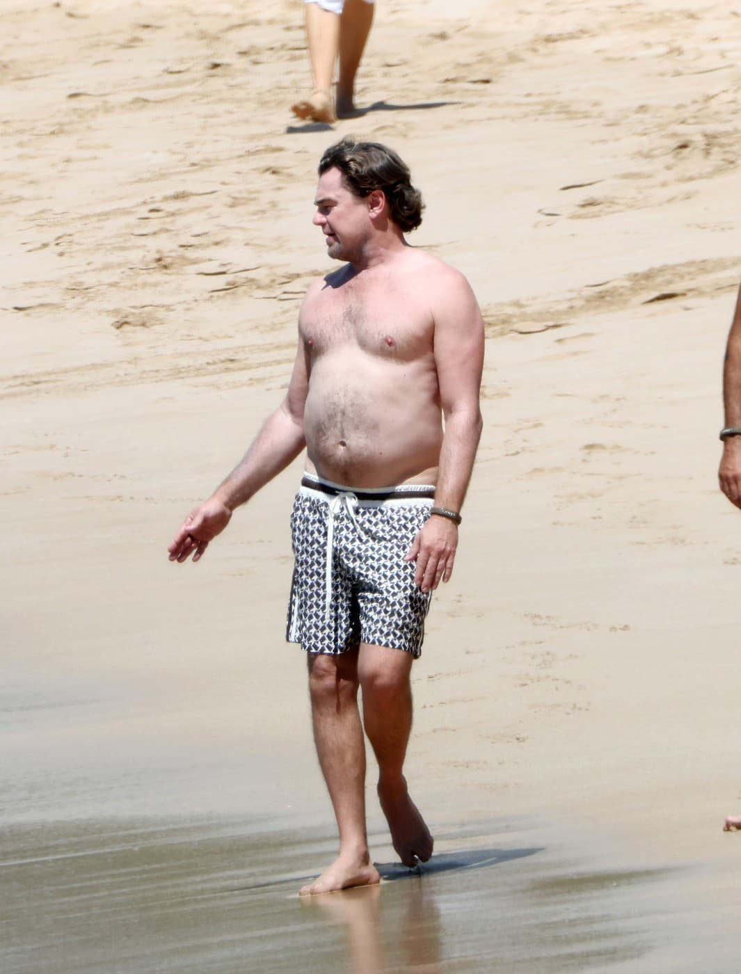 Leonardo DiCaprio