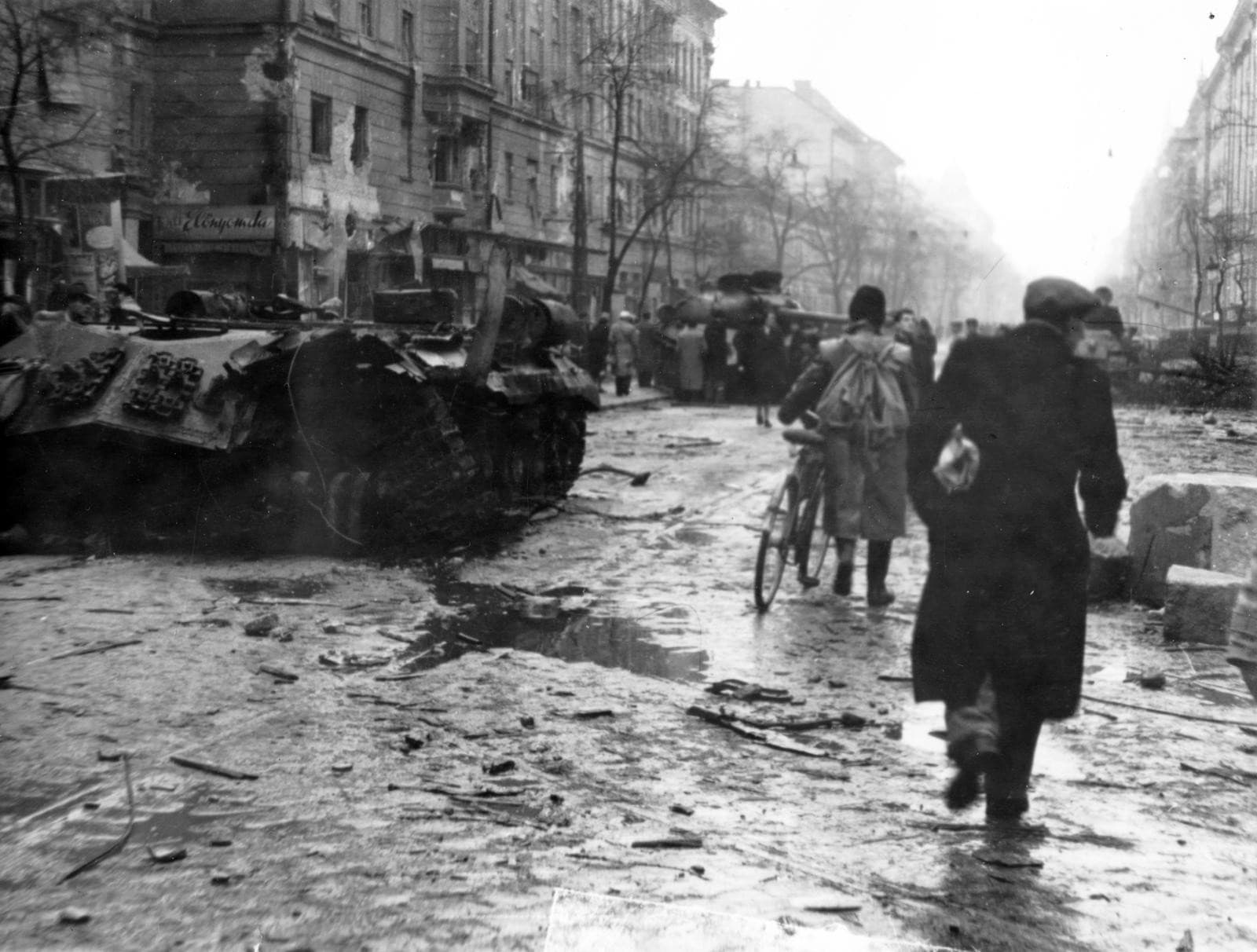 Maďarská revolúcia v roku 1956 si vyžiadala tisíce obetí.