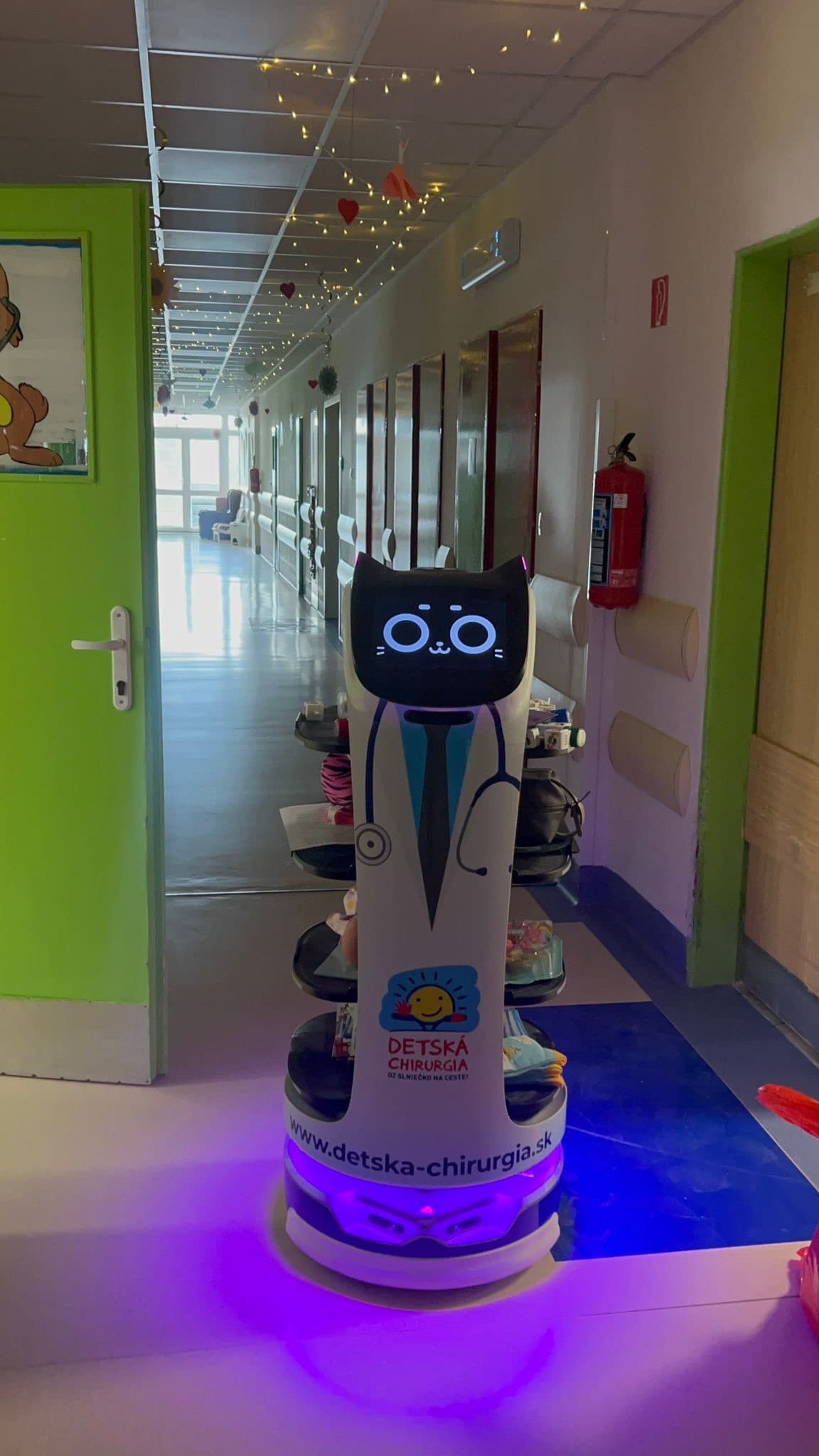 Robotická mačička na Kramároch: