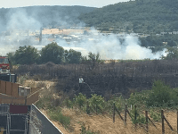V Bratislave horí porast vinohradu  