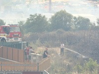 Veľký požiar v račianskom vinohrade dostali hasiči pod kontrolu.