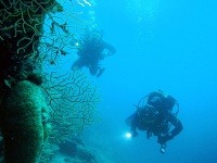 Potápanie vynieslo podmorské poklady na povrch