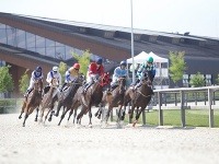 Uplynulý víkend sa v Šamoríne konali konské dostihy. 