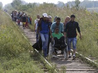 Utečenci najprv musia prekročiť srbsko-maďarskú hranicu
