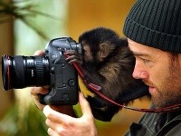 Na zvedavé opise sú zvyknutí nielen turisti, ale aj fotografi. Na zvedavé opise sú zvyknutí nielen turisti, ale aj fotografi.