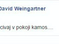 Na profil Davida Weingartnera napísal aj známy slovenský gitarista Jimi Cimbala, ktorý sa so spevákom evidentne zoznámil pri natáčaní Hlasu Česko Slovenska. 