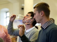 Degustácia vín Degustácia vín