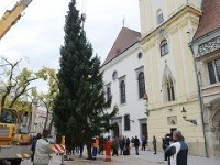 Na Hlavnom námestí už stojí vianočný stromček