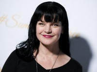 Pauley Perrette Pauley Perrette