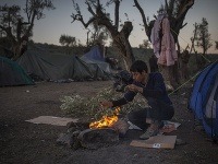 Utečenci kvôli ohňu olamujú stromy.