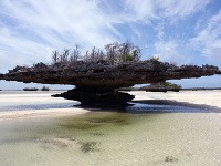 Aldabra: Bol raz jeden ostrov