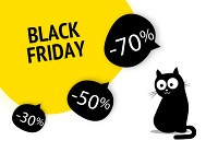 Obrovské zľavy pritiahnu darčekuchtivých nákupných maniakov aj bežných ľudí, ktorí si radi počkajú na akcie