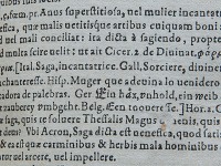 Definícia strigy v Sedemjazyčnom slovníku Ambrogia Calepina z Bergama z roku 1570