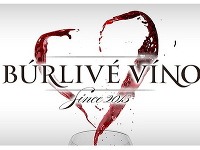 Nová séria Búrlivého vína, ktorú bude Markíza čoskoro vysielať, bude vraj finálna.