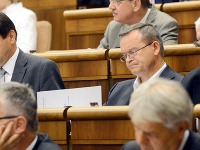 Kresťanskodemokratické strany neuspeli Kresťanskodemokratické strany neuspeli