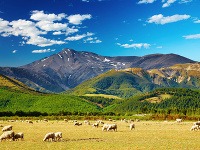 Hory, ovce… krajinka ako vymaľovaná od novozélandského Josefa Ladu. 