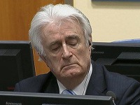 Radovan Karadžič Radovan Karadžič