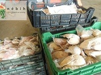Dve tony kačiaceho mäso v Maďarsku vydávali za husaciu pečeň.