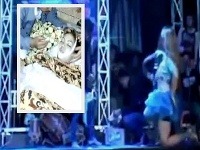 Posledné minúty popovej speváčky Posledné minúty popovej speváčky