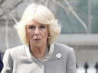 Camilla nepatrí k obľúbeným členom kráľovskej rodiny. 