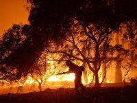 Požiar, ktorý zasiahol pobrežné kaňony západne od Santa Barbara sa nedarí likvidovať, pretože horí vegetácia, ktorú 70 rokov nepostihol požiar.
