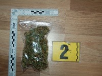 Čadčianski policajti zadržali pre drogovú trestnú činnosť dvojicu mladíkov Čadčianski policajti zadržali pre drogovú trestnú činnosť dvojicu mladíkov