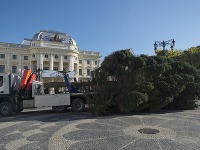 Na snímke inštalácia vianočného stromčeka na Hlavnom námestí v Bratislave v pondelok 31. októbra 2016.