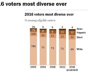 V roku 2000 bolo bielych voličov 78 percent, v roku 2016 iba 69 percent. Klesajúci trend bude pokračovať