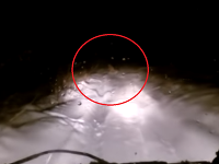 Tajomné zviera sa s ľuďmi stretnúť nechcelo. Tajomné zviera sa s ľuďmi stretnúť nechcelo.
