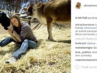 Alicia Silverstone má zvieratká veľmi rada. 