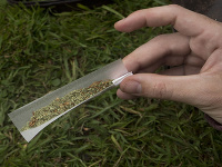Marihuana Marihuana