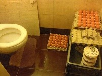 Fotografia z kontroly potravín. Skladovanie vajec na toalete.