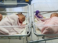 Zdravé štvorčatá - tri dievčatá a jeden chlapček - sa  narodili 24. novembra 2016 na Debrecínskej univerzitnej klinike. 
