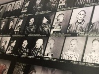 Vernisáž s názvom Poznaj svoju minulosť Vernisáž s názvom Poznaj svoju minulosť